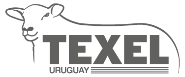 logo footer